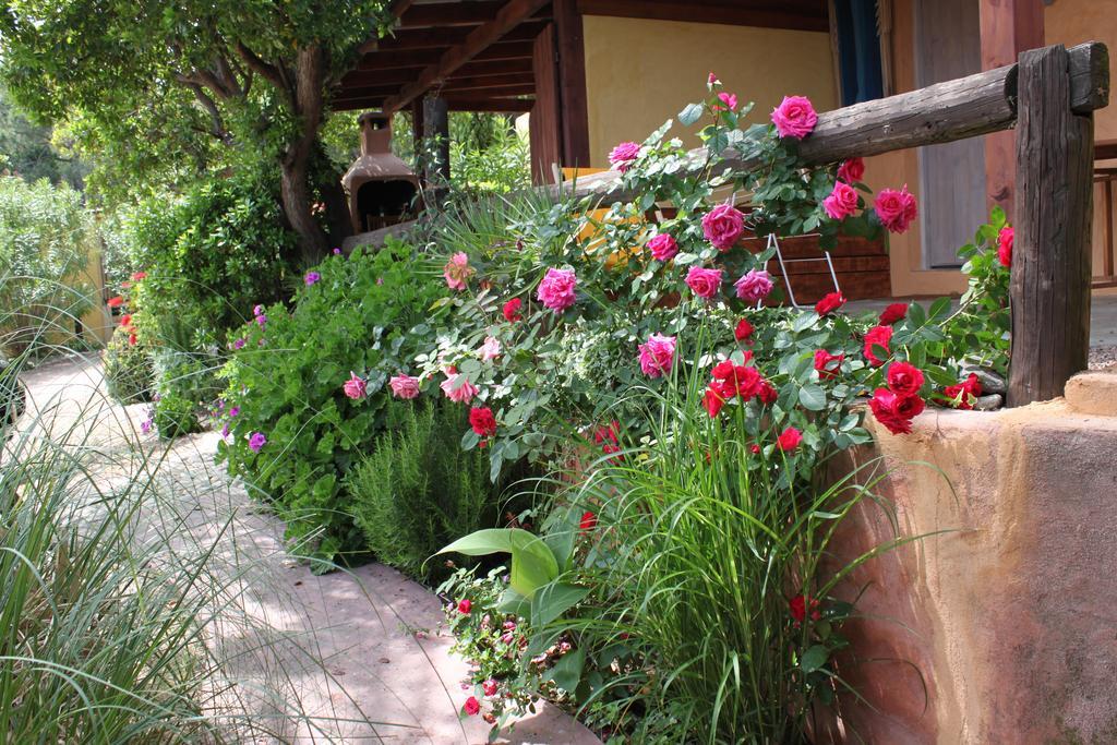 Les Bungalows De Figha Tarcu 외부 사진